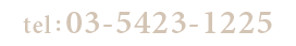 TEL 03-5423-1225